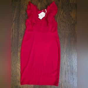 Pinkblush Maternity Red Dress